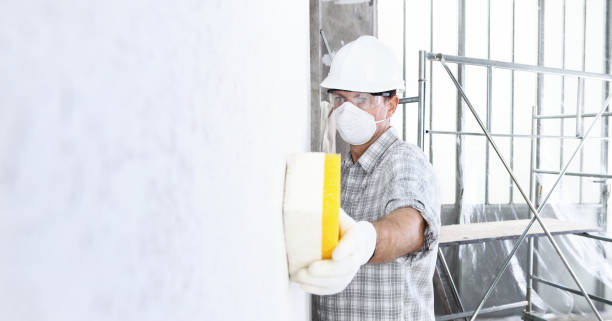 Why You Should Choose Our Mold Remediation Services in Hugo, MN