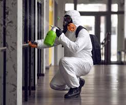 Best Industrial Mold Remediation  in Hugo, MN